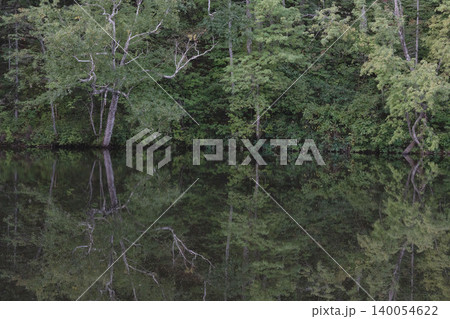北海道の道東の池と樹林の水鏡リフレクション、9月の初秋の静謐な森林絶景 140054622