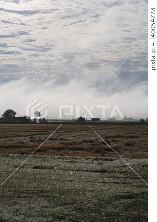 北海道の朝霧の田園と霧の壁、9月の初秋の朝霧風景、縦構図ドラマチック 北海道の朝霧の田園と霧の壁、9月の初秋の朝霧風景、縦構図ドラマチック 140054728