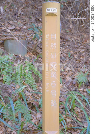 春の高尾山 自然研究路6号路 穏やかな森に誘う道標 春の高尾山 自然研究路6号路 穏やかな森に誘う道標 140054806