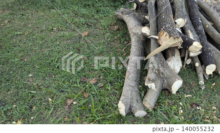 A horizontal photo shows a pile of freshly cut wood logs on a patch of green grass. The logs are of varying sizes and lie on the right side of the frame, with empty space to the left. A horizontal photo shows a pile of freshly cut wood logs on a patch of green grass. The logs are of varying sizes and lie on the right side of the frame, with empty space to the left. 140055232