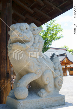 国府宮神社 拝殿前の阿形こま犬 国府宮神社 拝殿前の阿形こま犬 140055442