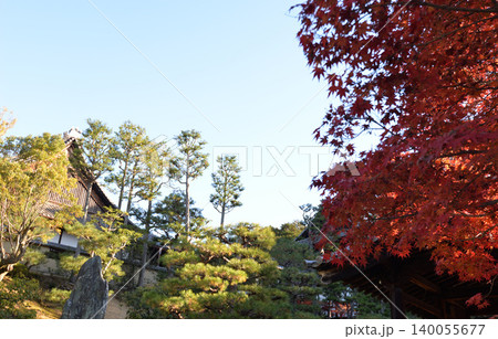 京都・東福寺の紅葉 京都・東福寺の紅葉 140055677