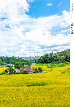 大阪府能勢町 長谷の棚田と黄金色の田園風景※作品コメント欄に撮影位置※作品※作品コメント欄に撮影位置 大阪府能勢町 長谷の棚田と黄金色の田園風景※作品コメント欄に撮影位置※作品※作品コメント欄に撮影位置 140055727
