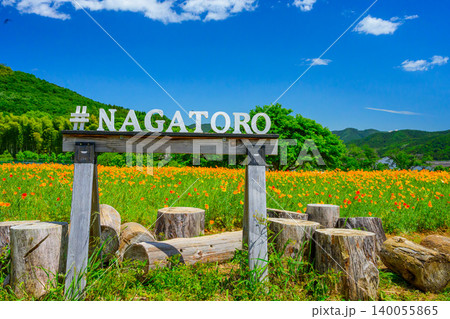 初夏のながとろ花の里 満開のハナビシソウ花畑と「#NAGATORO」の白い木製文字看板・丸太椅子 初夏のながとろ花の里 満開のハナビシソウ花畑と「#NAGATORO」の白い木製文字看板・丸太椅子 140055865