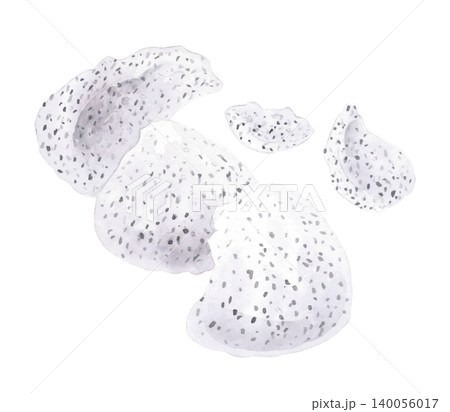 Pitahaya pulp. Watercolor illustration. Handmade art work. For packaging design, cards, cover, prints, product labels and fabric. Pitahaya pulp. Watercolor illustration. Handmade art work. For packaging design, cards, cover, prints, product labels and fabric. 140056017