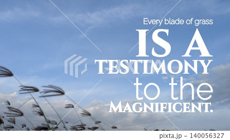 A quote proclaiming every blade of grass is a testimony to the magnificent in white text over a soft blue sky background with tall blades of wild grass swaying in the lower portion of the image. A quote proclaiming every blade of grass is a testimony to the magnificent in white text over a soft blue sky background with tall blades of wild grass swaying in the lower portion of the image. 140056327