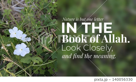 Quote observation of Nature as One Letter in Allahs book to find meaning in bold white text over a blurred green background juxtaposed with a clear image of white wildflowers in grass on the left. Quote observation of Nature as One Letter in Allahs book to find meaning in bold white text over a blurred green background juxtaposed with a clear image of white wildflowers in grass on the left. 140056330