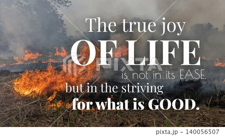 An inspirational quote about finding true joy, purpose, meaning not in ease, but through striving for good, moral living., Set against a powerful image of fire, smoke, symbolizing passion, difficulty. An inspirational quote about finding true joy, purpose, meaning not in ease, but through striving for good, moral living., Set against a powerful image of fire, smoke, symbolizing passion, difficulty. 140056507