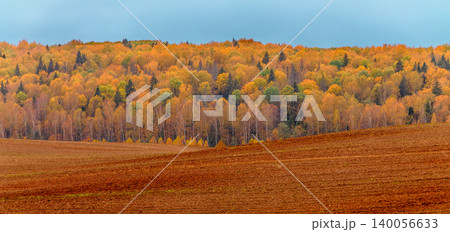 Vibrant autumn colors transition in the forest landscape 140056633
