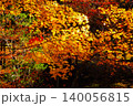 愛知県民の森紅葉 140056815