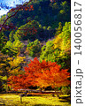 愛知県民の森紅葉 140056817