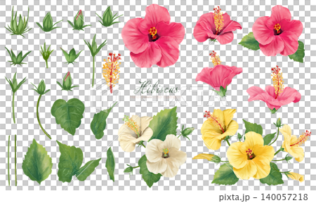 Hibiscus parts material set (vector illustration material) Hibiscus parts material set (vector illustration material) 140057218