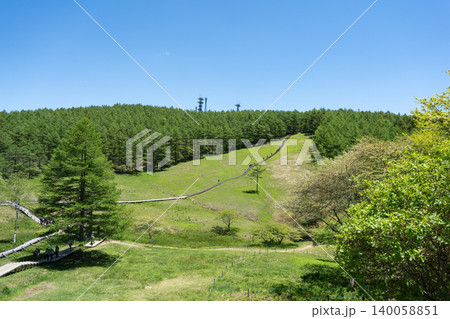 入笠湿原(入笠山) 入笠湿原(入笠山) 140058851