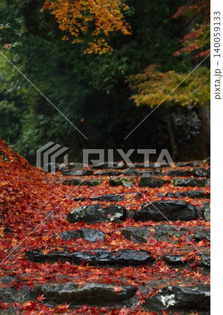 神護寺の紅葉の参道 神護寺の紅葉の参道 140059133