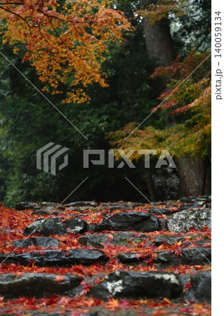 神護寺の紅葉の参道 神護寺の紅葉の参道 140059134