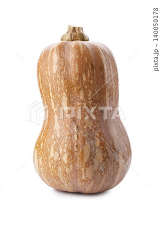Pumpkin Butternut Squash isolated on a white background Pumpkin Butternut Squash isolated on a white background 140059178