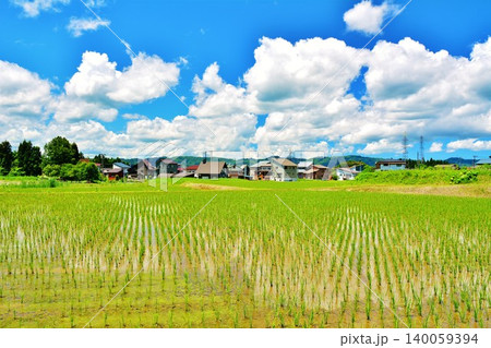 初夏の田園風景と青空 初夏の田園風景と青空 140059394