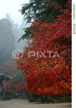 神護寺の紅葉 神護寺の紅葉 140059687