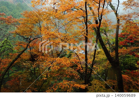 神護寺の紅葉 神護寺の紅葉 140059689