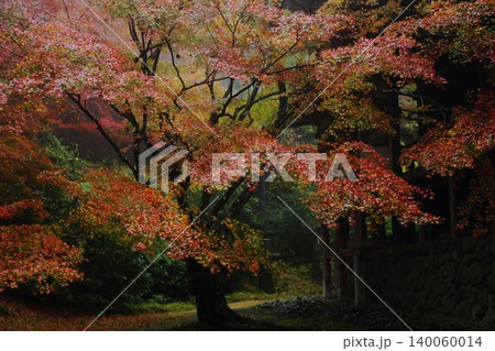 神護寺の紅葉 140060014