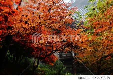 神護寺の紅葉 神護寺の紅葉 140060019