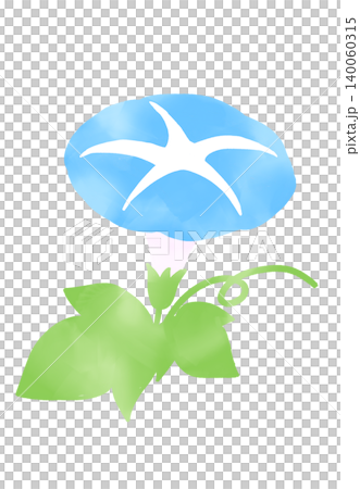 青い朝顔のイラスト 青い朝顔のイラスト 140060315