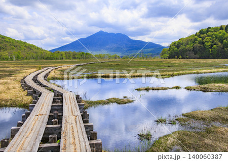 初夏の尾瀬 新緑と満開の水芭蕉 山ノ鼻〜竜宮 初夏の尾瀬 新緑と満開の水芭蕉 山ノ鼻〜竜宮 140060387
