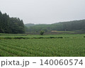 霧に包まれた高原のニンニク畑 140060574