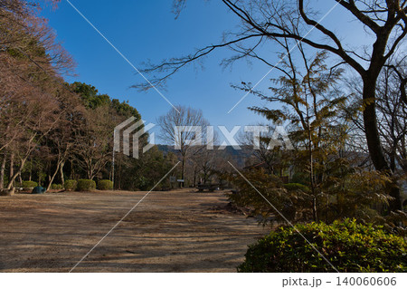 冬の公園の風景 140060606