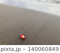砂浜に落ちている椿の花 140060849