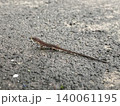 長い尾をもつニホンカナビ 140061195