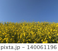 菜の花と青空のコントラスト 140061196