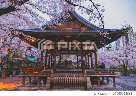 滋賀大津 天孫神社 さくら 滋賀大津 天孫神社 さくら 140061651