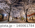 京都祇園白川 夜桜 140061784