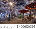 京都祇園白川 夜桜 140062036