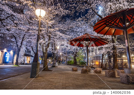 京都祇園白川 夜桜 140062036
