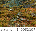 The textured rock wall is interspersed with patches of greenery, leading to a visible waterfall. 140062107