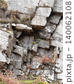 The textured grey rock face is riddled with deep cracks and visible geological layers. Small green plants and reddish-brown dry vegetation cling to its uneven surface. 140062108