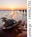 アフリカの海に沈む夕日 140062791