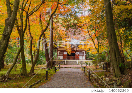 紅葉に包まれた参道 地蔵院 140062869