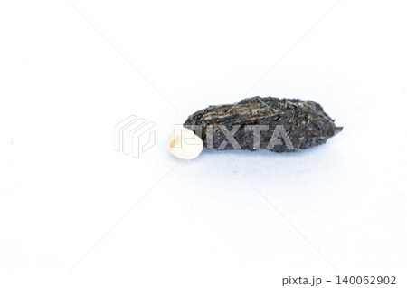 Close up stool lizards Available in white and black on white background Close up stool lizards Available in white and black on white background 140062902