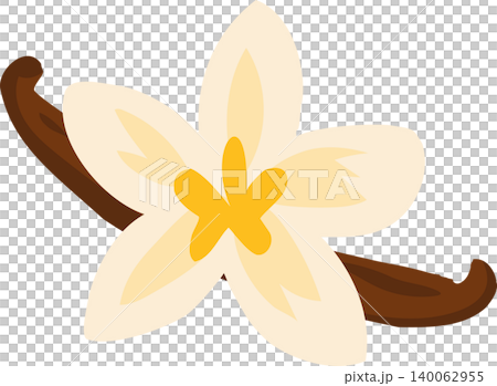 Vanilla orchid flower with vanilla beans tropical botanical Vanilla orchid flower with vanilla beans tropical botanical 140062955