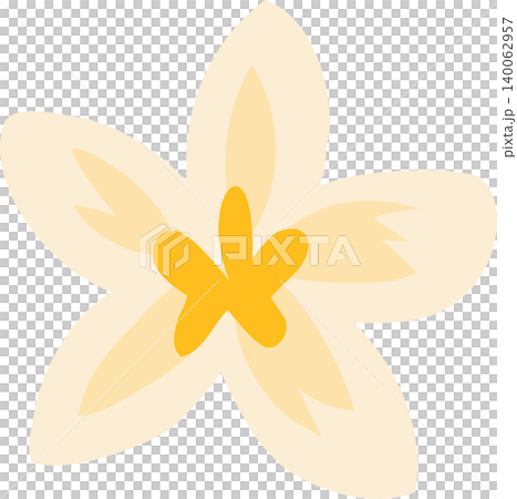 soft vanilla flower for spring botanical themes and suited to spa branding invitations and nature inspired design soft vanilla flower for spring botanical themes and suited to spa branding invitations and nature inspired design 140062957