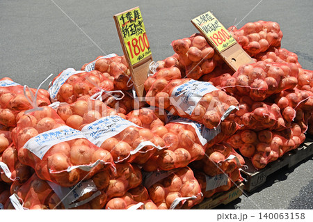ネット詰めの新玉ねぎ 長野県野辺山高原の青果市場に積まれた新鮮な野菜 ネット詰めの新玉ねぎ 長野県野辺山高原の青果市場に積まれた新鮮な野菜 140063158