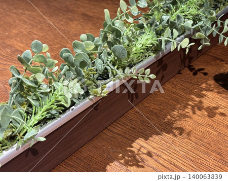 テーブルの上の観葉植物 テーブルの上の観葉植物 140063839