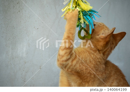 Orange cats play with ribbons that move. 140064199