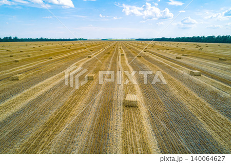 Expansive golden fields with hay bales under a bright blue sky during harvest season in rural landscape Expansive golden fields with hay bales under a bright blue sky during harvest season in rural landscape 140064627