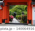 京都　栄摂院のサツキ 140064916