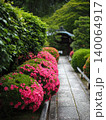 京都　栄摂院のサツキ 140064917