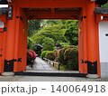 京都　栄摂院のサツキ 140064918
